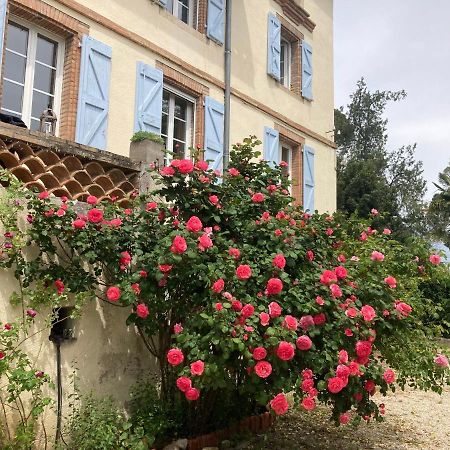 Domaine De Menerque - Petit Chateau Avec Piscine Lisle-sur-Tarn Buitenkant foto