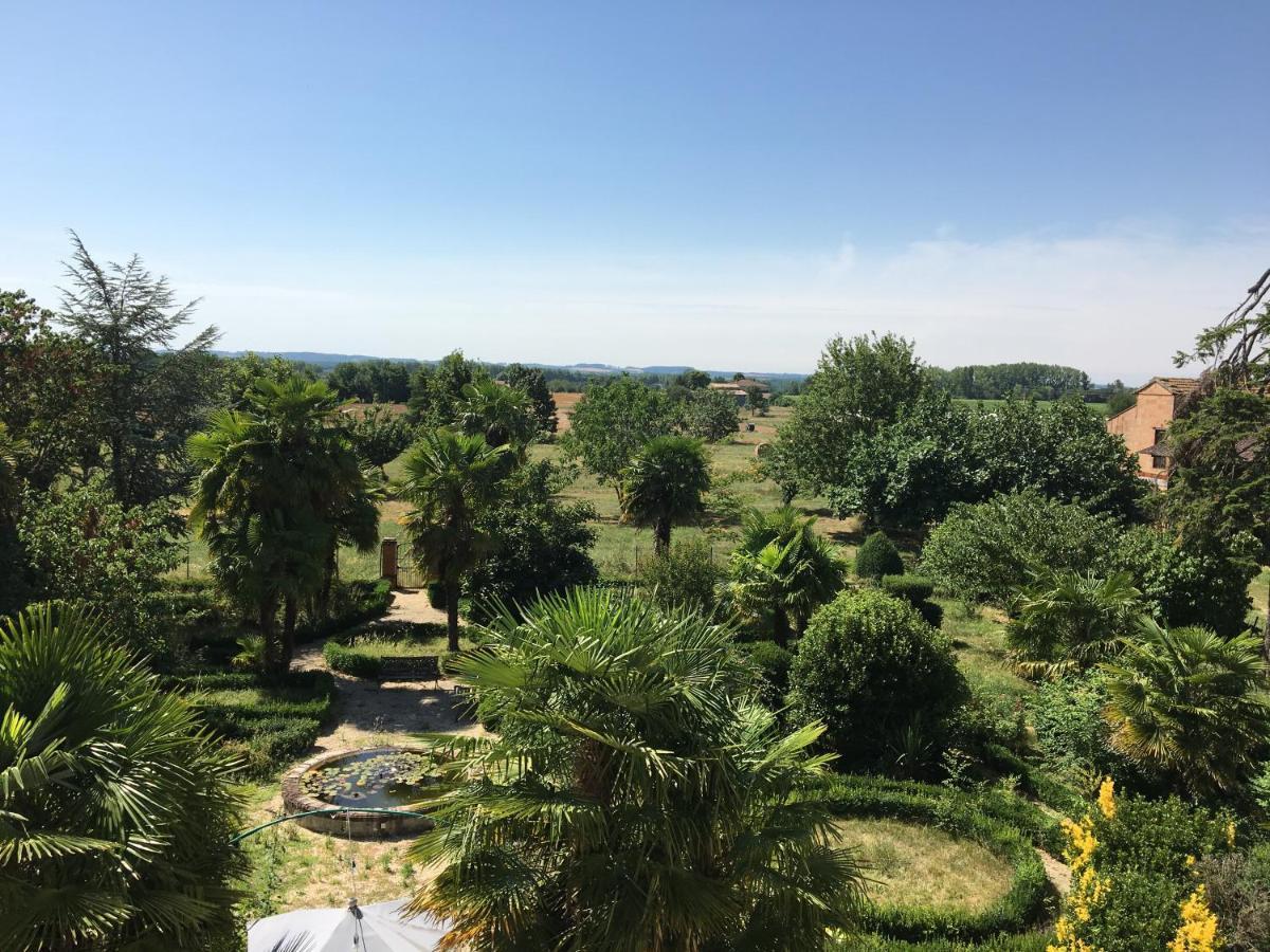 Domaine De Menerque - Petit Chateau Avec Piscine Lisle-sur-Tarn Buitenkant foto