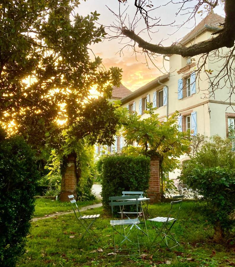 Domaine De Menerque - Petit Chateau Avec Piscine Lisle-sur-Tarn Buitenkant foto