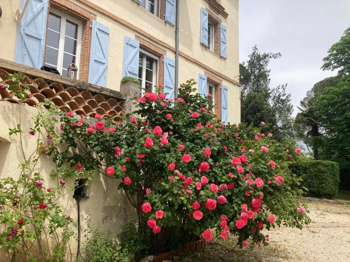 Domaine De Menerque - Petit Chateau Avec Piscine Lisle-sur-Tarn Buitenkant foto
