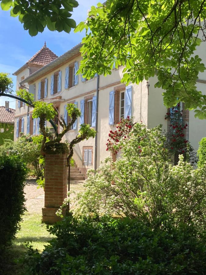 Domaine De Menerque - Petit Chateau Avec Piscine Lisle-sur-Tarn Buitenkant foto