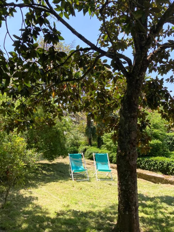 Domaine De Menerque - Petit Chateau Avec Piscine Lisle-sur-Tarn Buitenkant foto