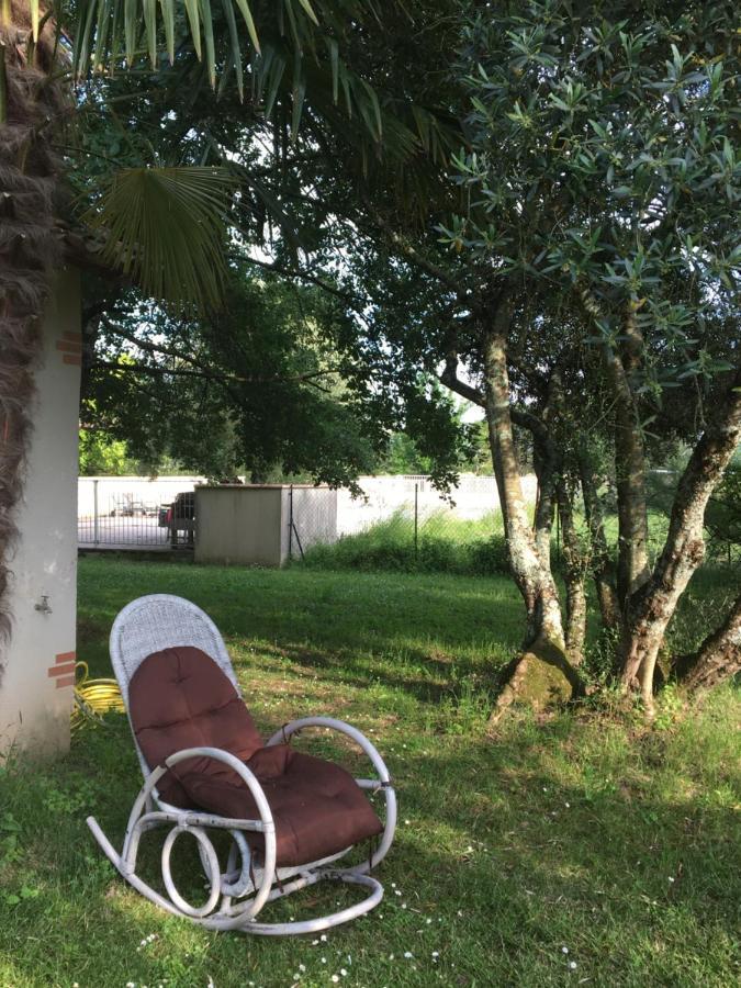 Domaine De Menerque - Petit Chateau Avec Piscine Lisle-sur-Tarn Buitenkant foto