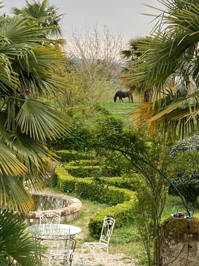 Domaine De Menerque - Petit Chateau Avec Piscine Lisle-sur-Tarn Buitenkant foto