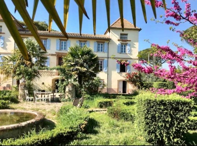 Domaine De Menerque - Petit Chateau Avec Piscine Lisle-sur-Tarn Buitenkant foto