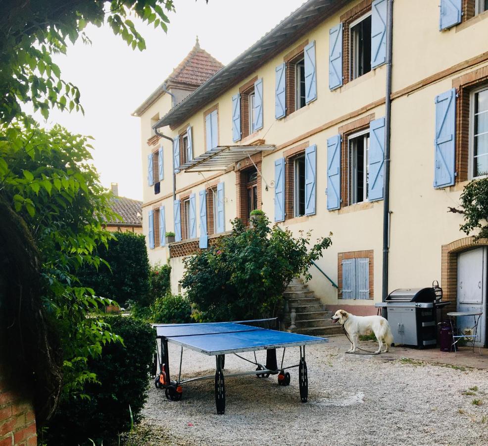 Domaine De Menerque - Petit Chateau Avec Piscine Lisle-sur-Tarn Buitenkant foto