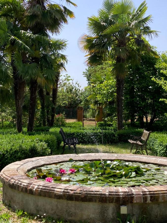 Domaine De Menerque - Petit Chateau Avec Piscine Lisle-sur-Tarn Buitenkant foto