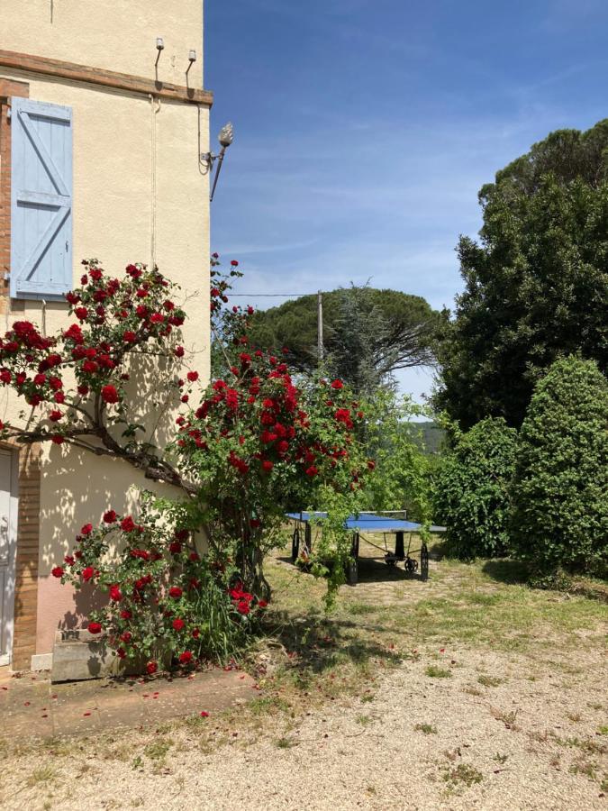 Domaine De Menerque - Petit Chateau Avec Piscine Lisle-sur-Tarn Buitenkant foto